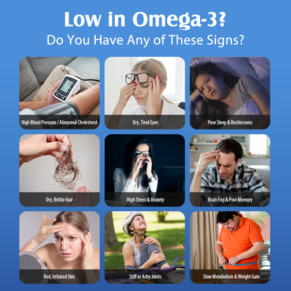 NYO3® 97% Omega 3 Fish Oil Softgels, 120ct