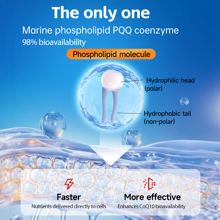 NYO3® MUNCH CLASSIC 1892 Enhanced CoQ10+PQQ 60ct (sold out)